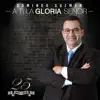 DOMINGO GUZMAN - Tu Dios será mi Dios