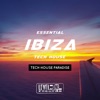Laurent Brack Break Down Essential Ibiza Tech House (Tech House Paradise)