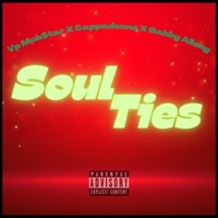 Soul Ties (feat. Cappadonna, Gabby Allong & Temper) - Single - VP Mob$tar