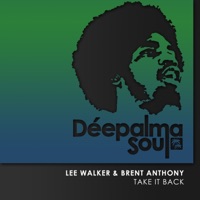 Take It Back - Single - Lee Walker & Brent Anthony
