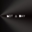 Not a Day - Single