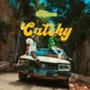 Catchy - كاتشي - Single