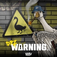 Warning (feat. El Laurie & Roche) - EP - DRZ