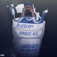 Blueberry Ginger Ale - Single - Luhgary
