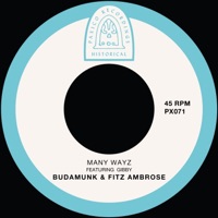 Many Wayz (feat. Gibby) - Single - BudaMunk & Fitz Ambro$e