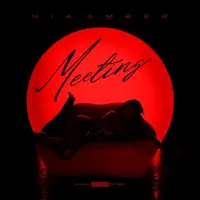 Meeting — Nia Amber