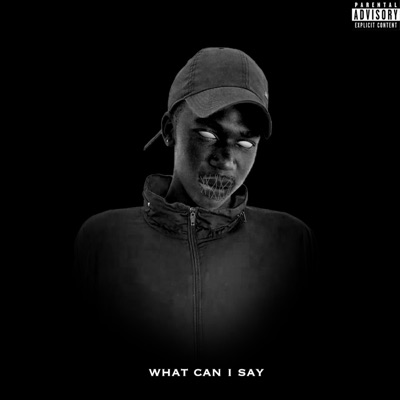 What Can I Say (feat. Afro 25) - Single