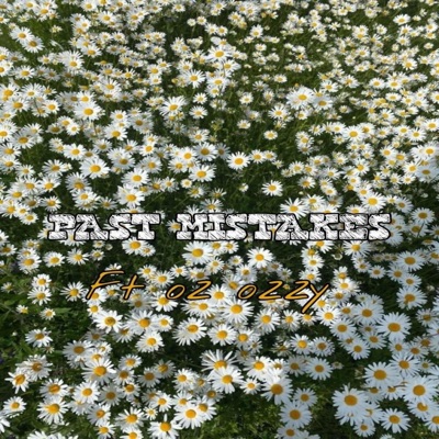Past Mistakes (feat. Oz Ozzy) - Single