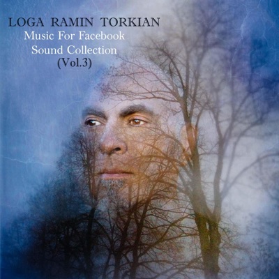 Music For Facebook Collection (Vol.3) - EP
