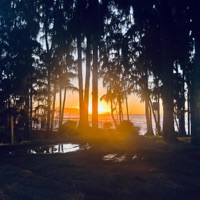 Last Year - Single - Misfit.K & NobodyGHY