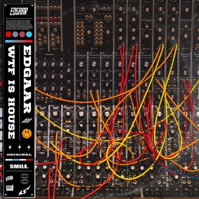 Wtf Is House - Single