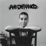 Ani DiFranco - both hands
