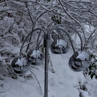 winternacht ep - cigi