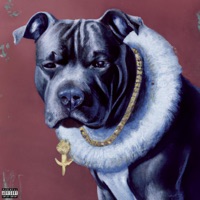 DOG (feat. Scar$) - Single - BVD CXRTEX