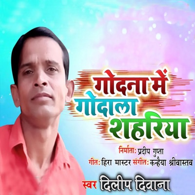 Godna Me Godala Shahriya - Single