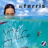 Into My Life Remixes - DJ Ferris