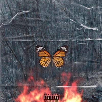 Motions - Single