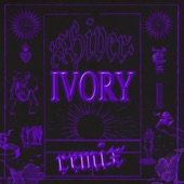 Shiver (Ivory IT Remix) artwork