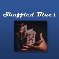 Shuffled Blues - Single - Dr. Kok