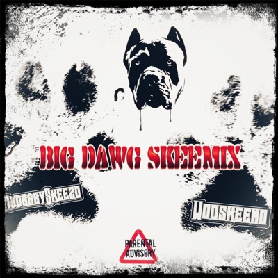 Big Dawg Skeemix (feat. WooSkeeno) - Single