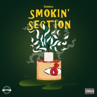 Smokin' Section - Single - Stainless
