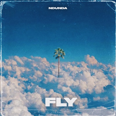 Fly - Single