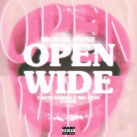 Open Wide Michael Hanke