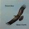 Red Kite - Steve J Curtis lyrics