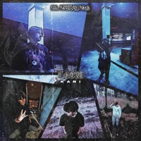 Telefon - Single - KANI