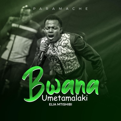 Bwana Umetamalaki - Single