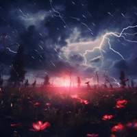 Гроза - Single - КОЙОТ