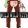 Wild Wild Vets - Single