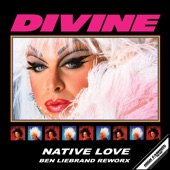 Native Love (Ben Liebrand Rework) artwork