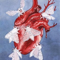 Hasta tu portal (Acústico) - Single - DarkMess720