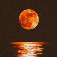 Lunar Vibes - Chameli