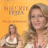 Shkurte Fejza - Vellezerit Vokshi