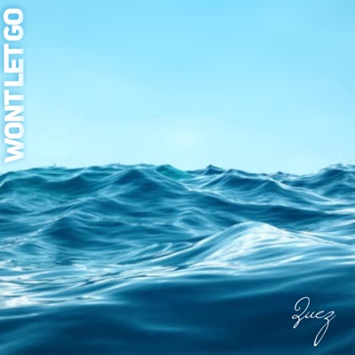 Wont Let Go - Single
