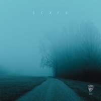 scars. (Remixes) - Single - ghxsted.