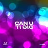Can U Dig It cover art