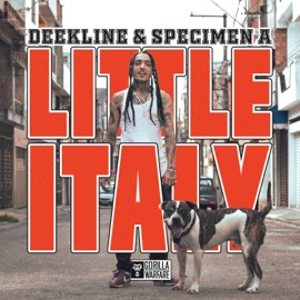 Little Italy Deekline & Specimen A