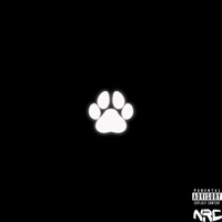 Trap Dog - Single - Vashon