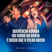 Querência Amada / Do Fundo Da Grota / É Disso Que O Velho Gosta (30 Anos, Ao Vivo) - Single - Wilson e Soraia