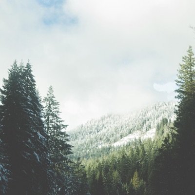 New Beginnings - Single