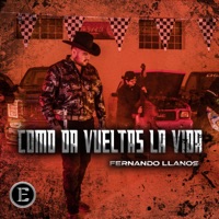Como Da Vueltas La Vida - Single - Fernando llanos