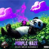 Purple Haze (feat. Sean Lindsey) - Single - Spade Santana