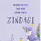 Zindagi artwork