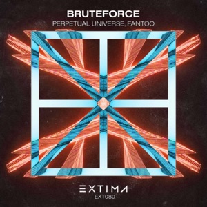 Bruteforce - Single