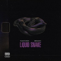 Liquid Snake - Single - YEAROFJORDN & Brogawd
