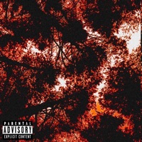 S.H.E.D. - golanatheghost