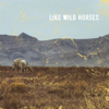 Like Wild Horses - Blacktop Mojo